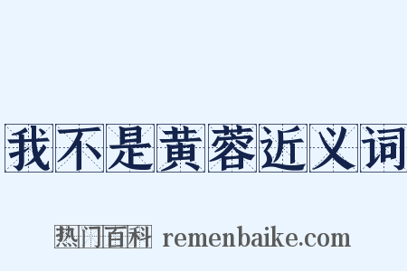 我不是黄蓉近义词是什么意思的图片